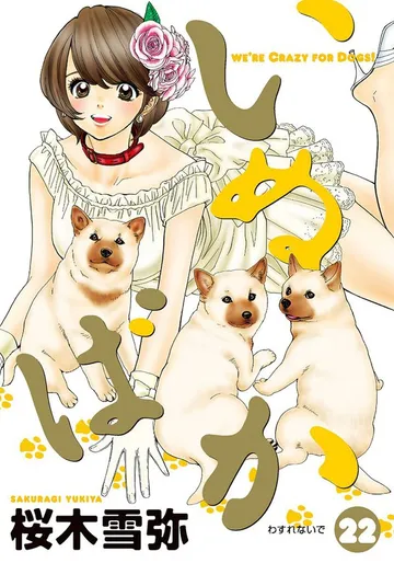 いぬばか 表紙