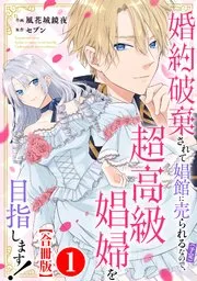 婚約破棄されて娼館に売られる(予定)なので、超高級娼婦を目指します!
