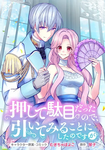 押して駄目だったので、引いてみることにしたのですが 表紙