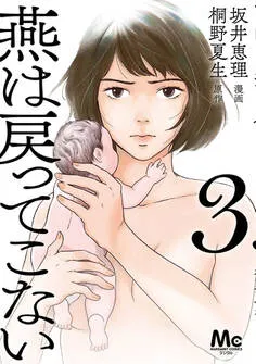 燕は戻ってこない 単行本版 表紙