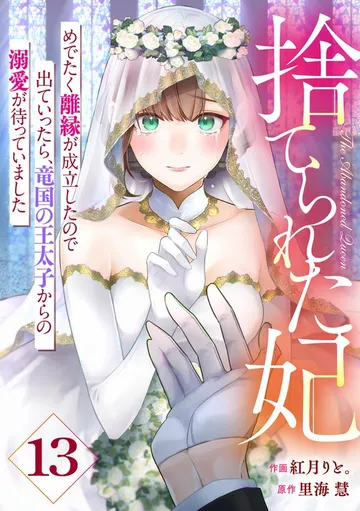 Berry'sFantasy捨てられた妃 めでたく離縁が成立したので出ていったら、竜国の王太子からの溺愛が待っていました 表紙