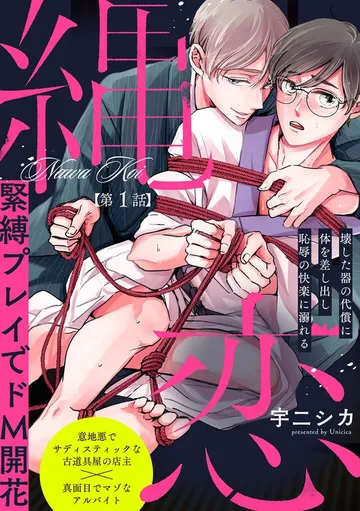 縄恋 表紙