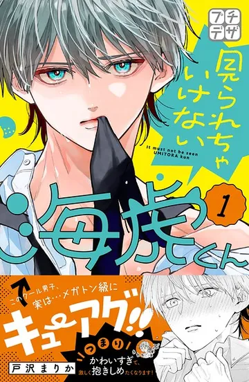 見られちゃいけない海虎くん プチデザ 表紙