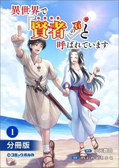 異世界で『賢者……の石』と呼ばれています 表紙