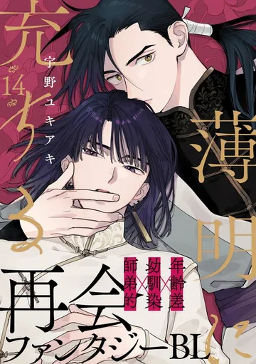 薄明に充ちる 表紙