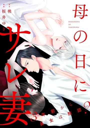 母の日にサレ妻 表紙