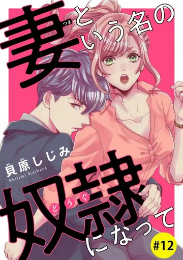 妻という名の奴隷（どうぐ）になって(話売り) 表紙