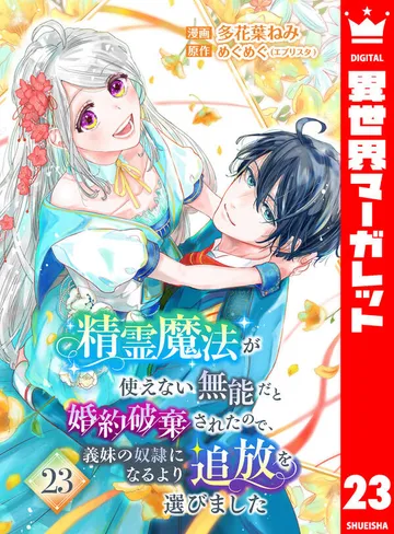 精霊魔法が使えない無能だと婚約破棄されたので、義妹の奴隷になるより追放を選びました 表紙