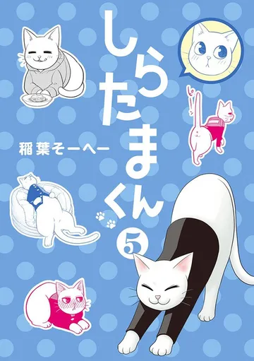 しらたまくん 表紙