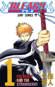 BLEACH モノクロ版 表紙