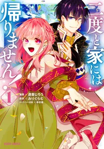 二度と家には帰りません！ 表紙