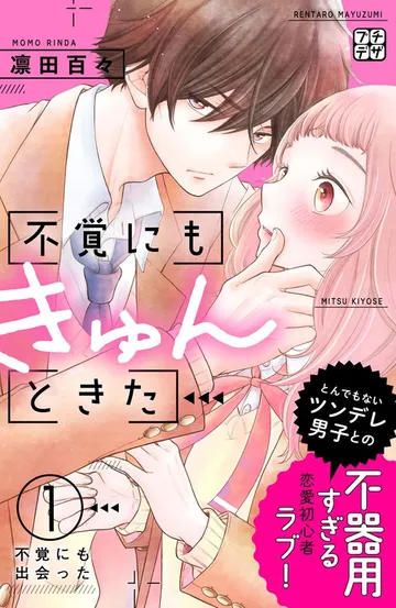 不覚にもきゅんときた プチデザ 表紙